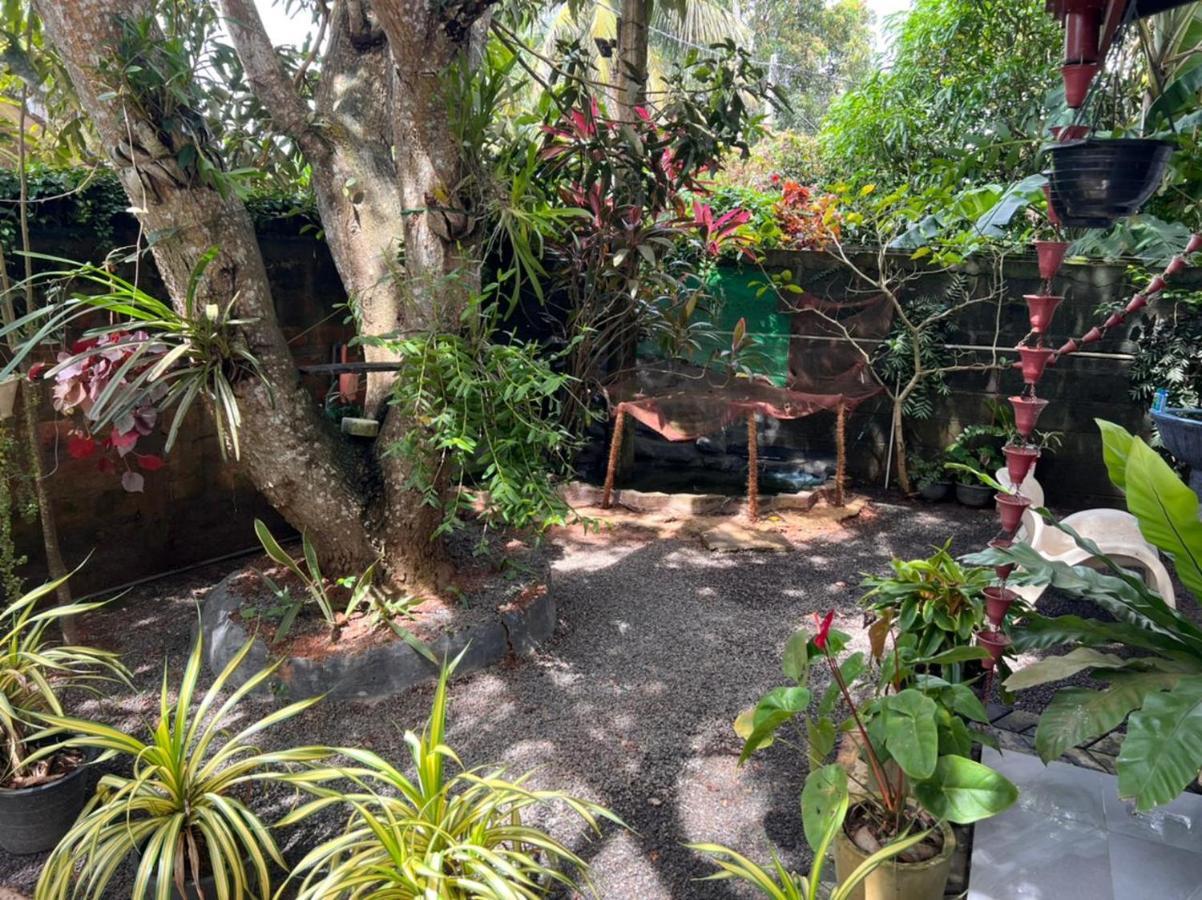 Jungle Reef Rest Hotel Mirissa Kültér fotó